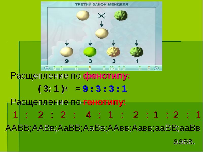 Расщепление по типу 1 1