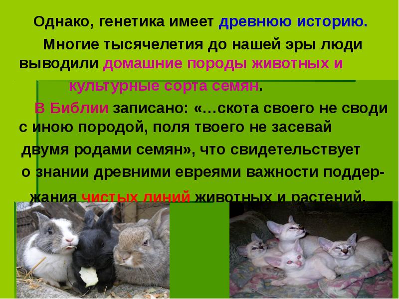 Однако, генетика имеет древнюю историю.
Однако, генетика имеет Однако, генетика имеет древнюю историю.
Однако, генетика имеет