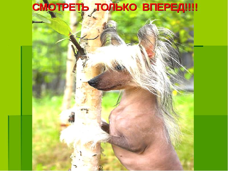 СМОТРЕТЬ ТОЛЬКО ВПЕРЕД!!!!
СМОТРЕТЬ ТОЛЬКО ВПЕРЕД!!!! СМОТРЕТЬ ТОЛЬКО ВПЕРЕД!!!!
СМОТРЕТЬ ТОЛЬКО ВПЕРЕД!!!!
