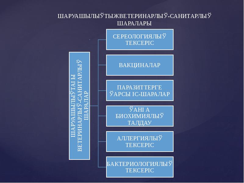 Практика есебі презентация