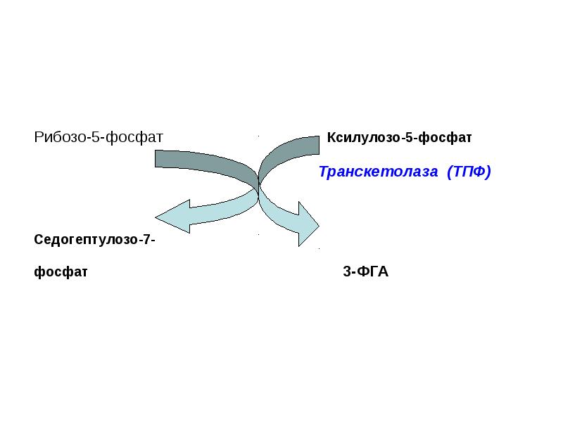 Лекция углеводы презентация