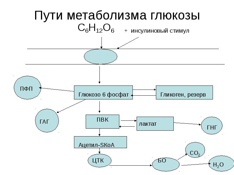 Пфп с схема