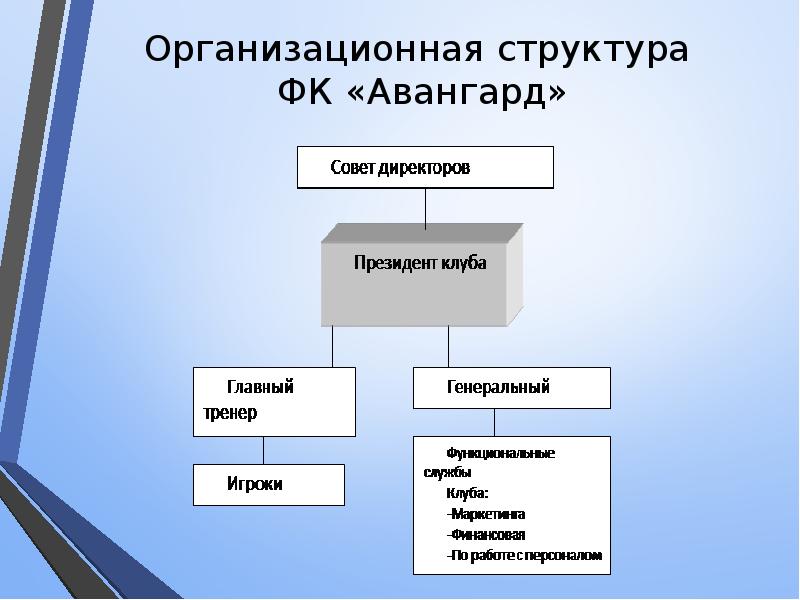 Организационная структура фитнес зала