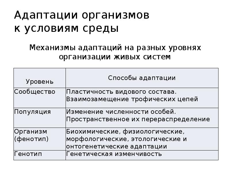 Пример адаптации организмы таблица