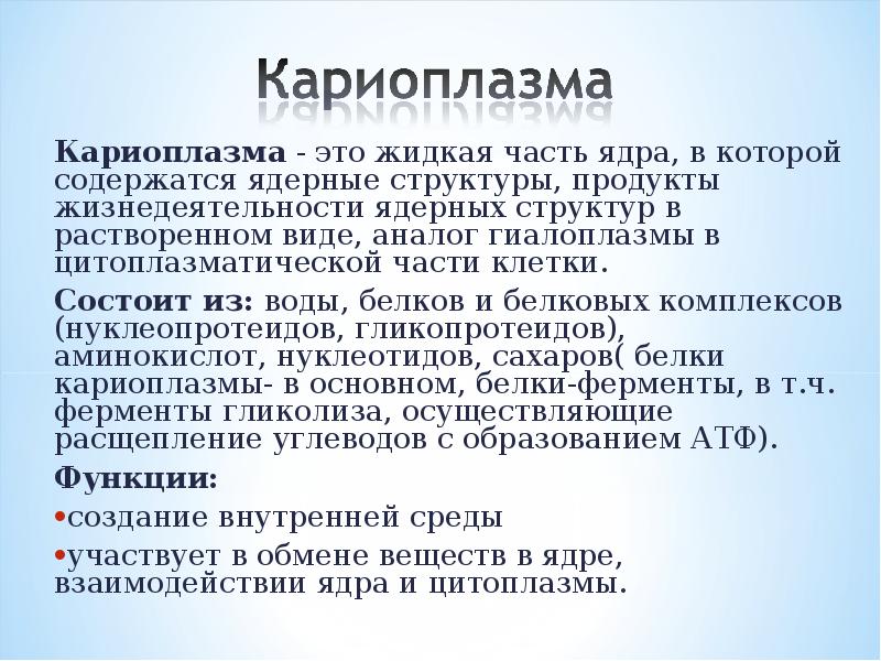 Кариоплазма. Строение кариоплазмы ядра. Кариоплазма строение. Кариоплазма строение и функции. Нуклеоплазма и кариоплазма.