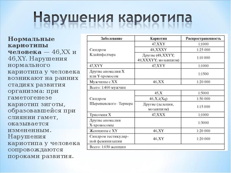нормальный кариотип человека 46 хромосом. кариотип человека. кариотипы гамет. кариотип и идиограмма хромосом человека. понятие о кариотипе.