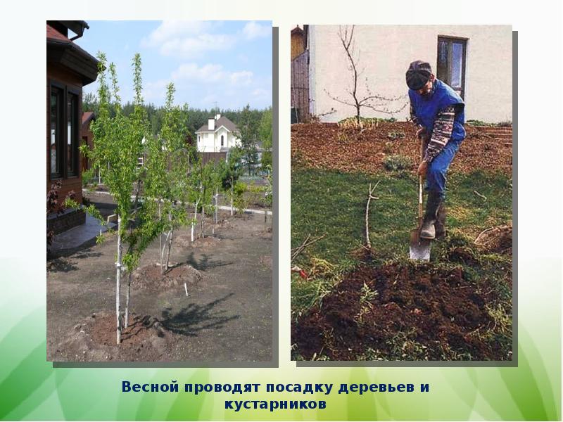 Фото весенних работ в семье 2 класс окружающий мир