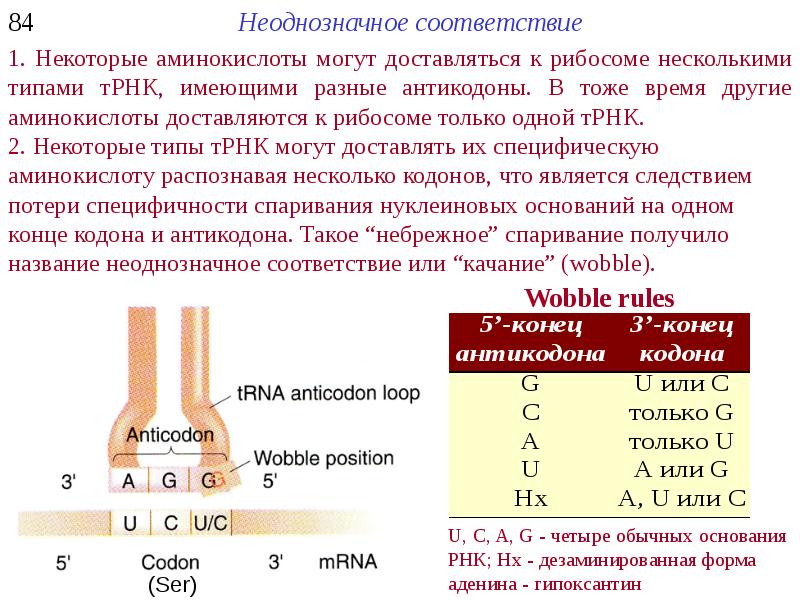 Wobble перевод