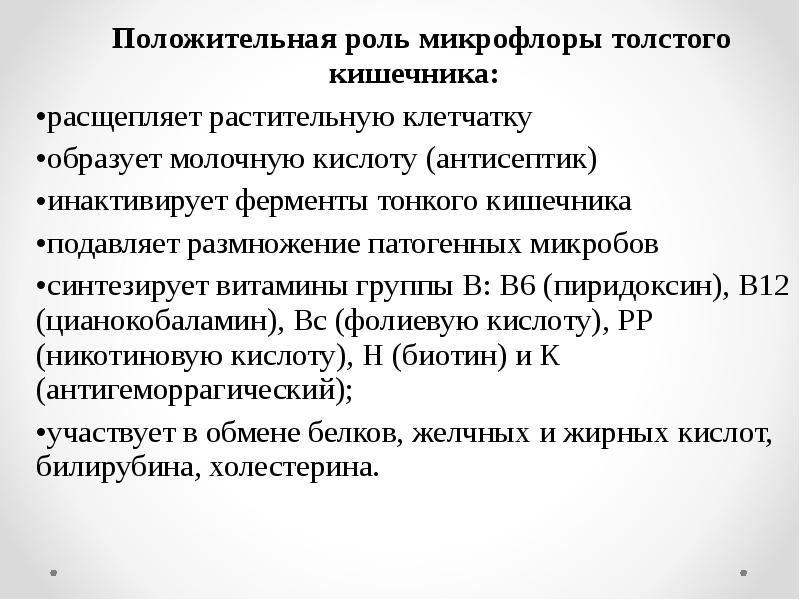 Бактерии толстого кишечника синтезируют витамины