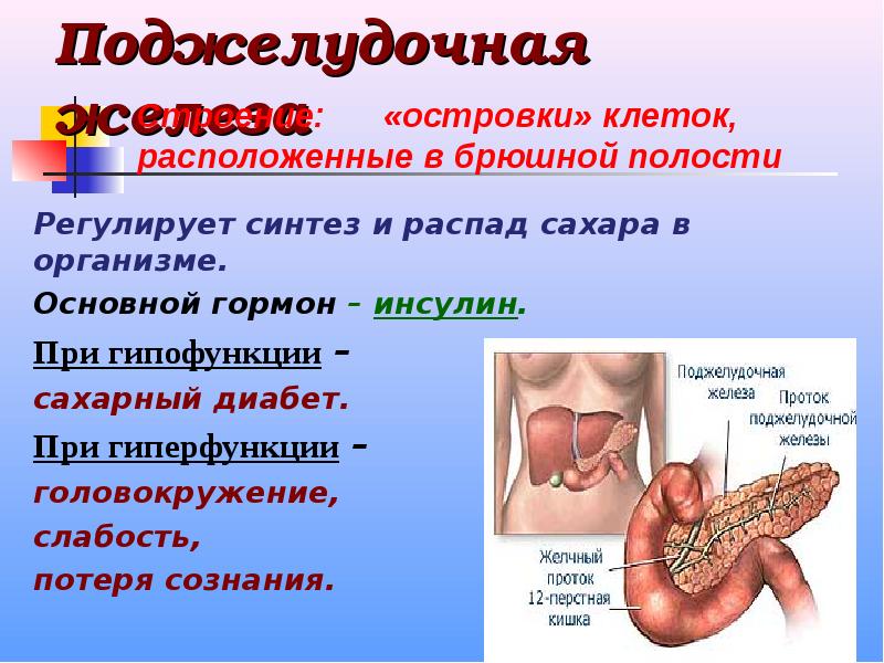 Железа регулирующая. Гиперфункция поджелудочной железы. Гипофункция поджелудочной железы. Гиперфункция поджелудочной железы инсулин. При гиперфункции поджелудочной железы.