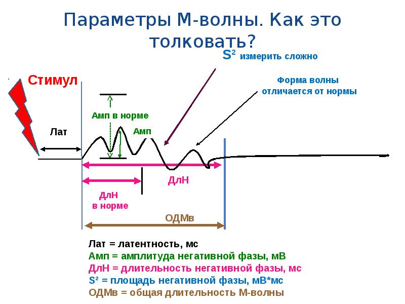 Т м ответ