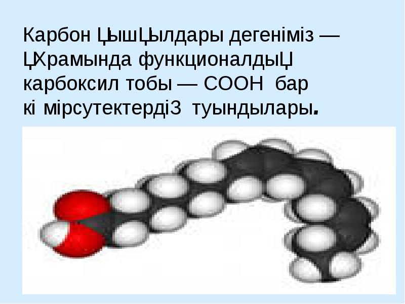 Карбон қышқылдары презентация