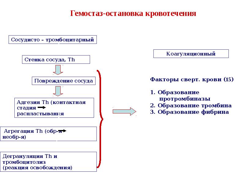 Гемостаз у детей презентация