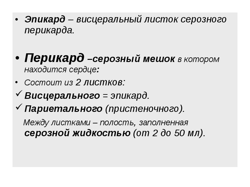 Эпикард – висцеральный листок серозного перикарда. Эпикард – висцеральный листок серозного