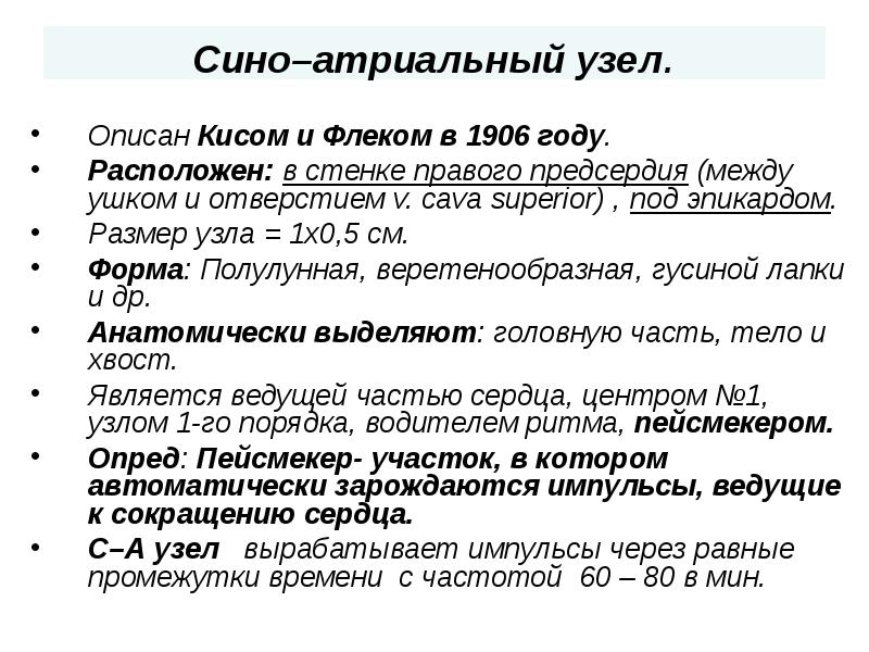 Сино–атриальный узел.  Описан Кисом и Флеком в 1906 году. Расположен: