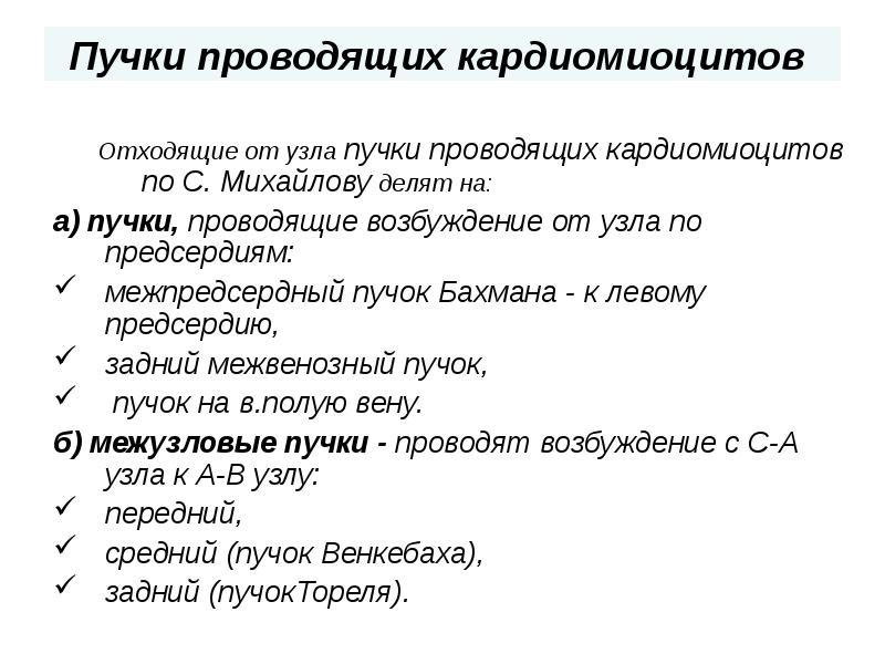 Пучки проводящих кардиомиоцитов  Отходящие от узла пучки проводящих кардиомиоцитов по
