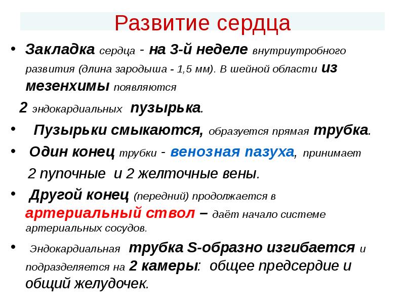 Развитие сердца Закладка сердца - на 3-й неделе внутриутробного развития (длина