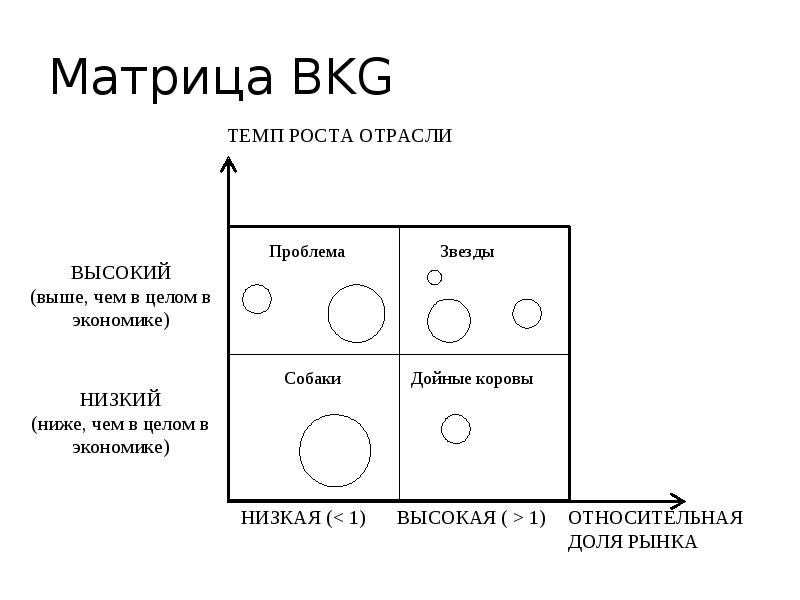 Презентация матрица бкг