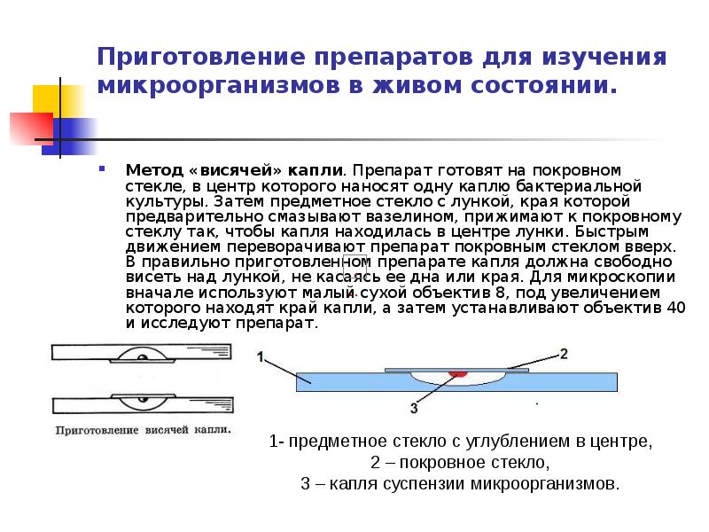 Почему важно накрыть препарат покровным стеклом именно так как показано на рисунке