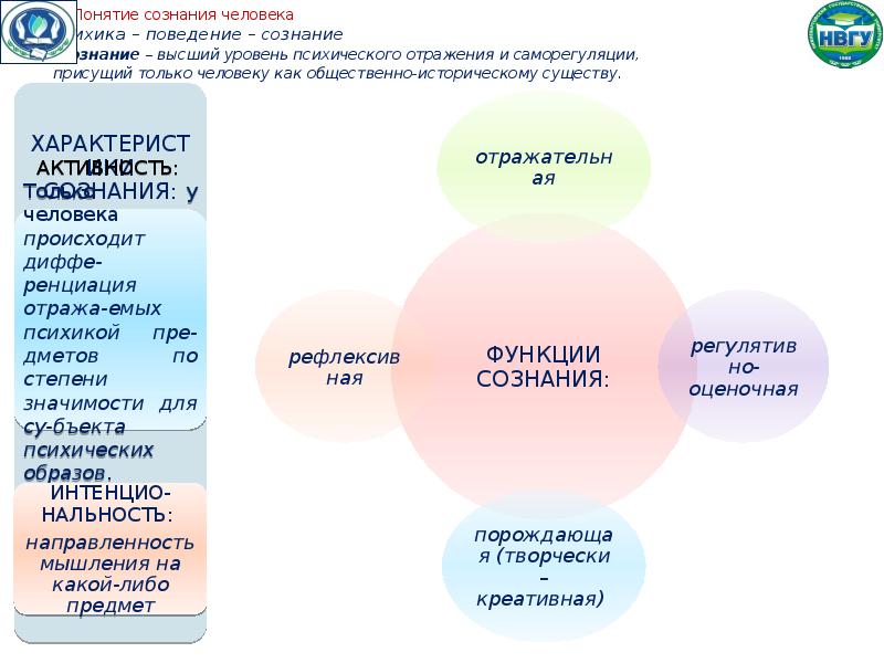 Общие представления о поведении и психике человека