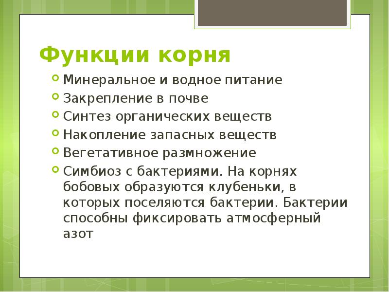 Корень ботаника. Функции корня. Основные функции корня. Перечислите функции корня. Функции корня 6 класс.