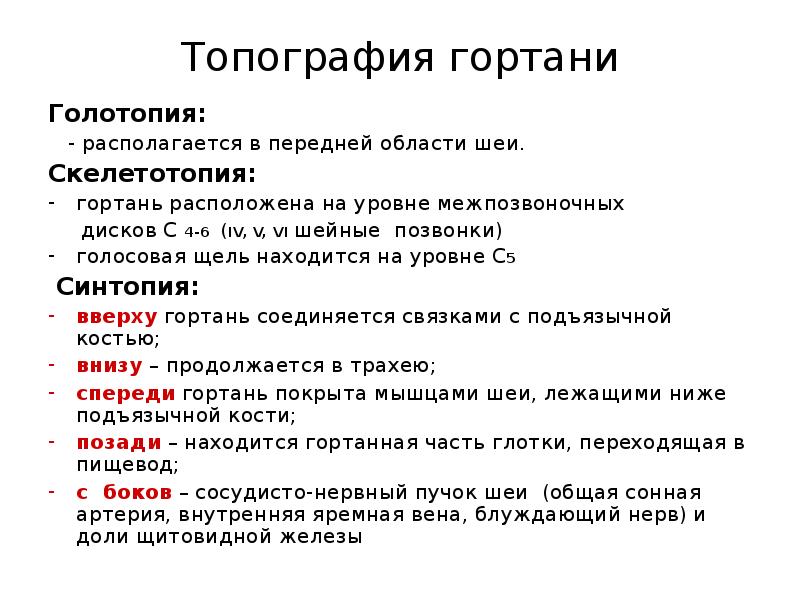 Голотопия скелетотопия синтопия. Скелетотопия и синтопия гортани. Голотопия гортани топография.