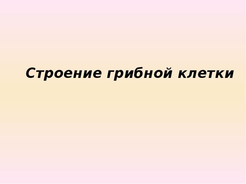 Строение грибной клетки Строение грибной клетки