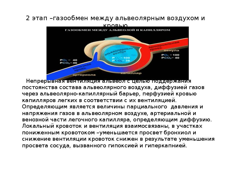 Презентация остановка дыхания