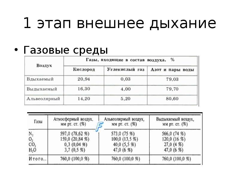 Функция внешнего дыхания биомеханика дыхательных движений. Этапы внешнего дыхания. биомеханика внешнего дыхания. фазы внешнего дыхания.