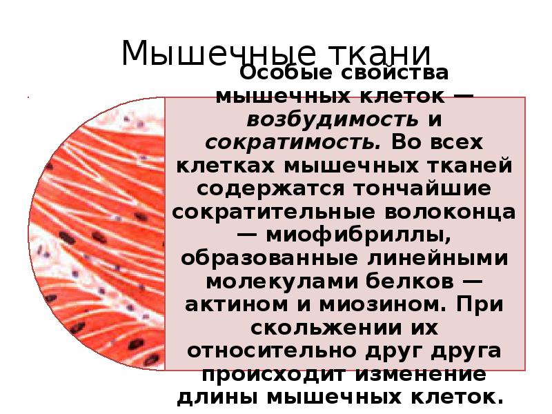 Купить Пенополистирол 50 Мм В Минске