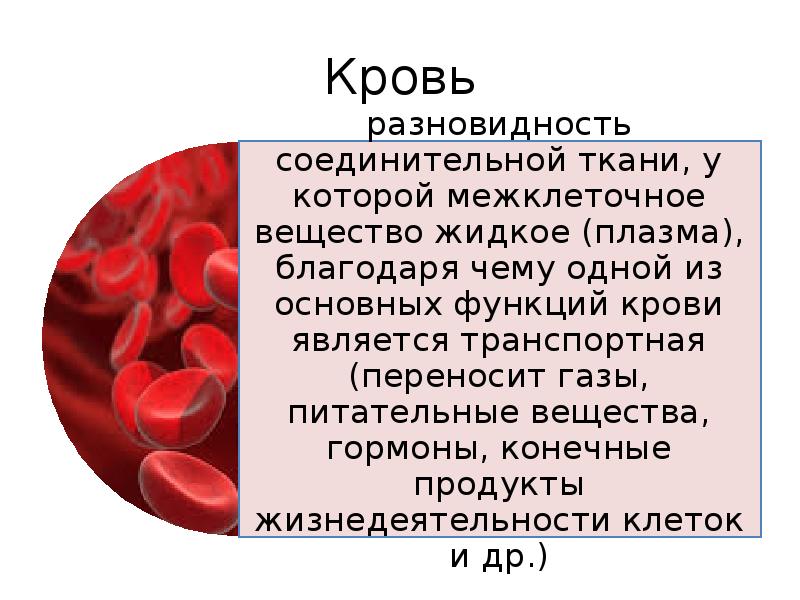 На рисунке изображена соединительная ткань кровь какова особенность этой ткани