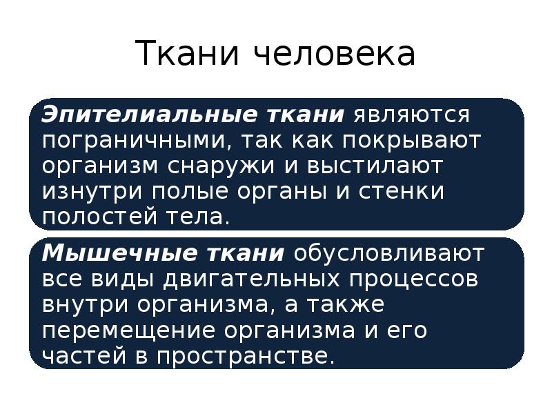 Реферат: Типы тканей в организме человека