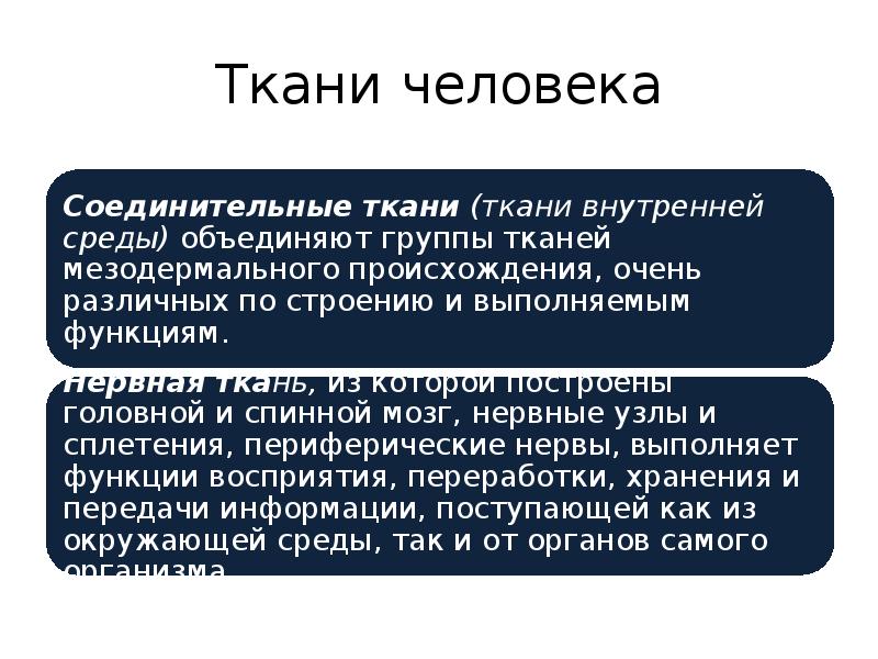 Вывод о происхождении человека. Вывод о тканях человека.