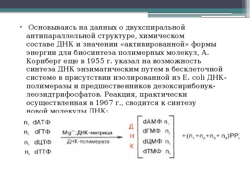 Биосинтез ДНК по Корнбергу.