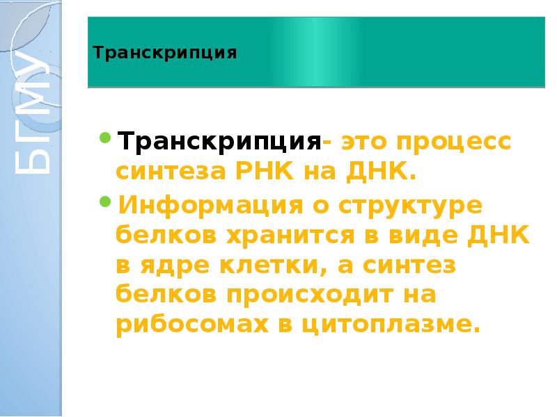 Реализация наследственной информации в клетке 10 класс презентация