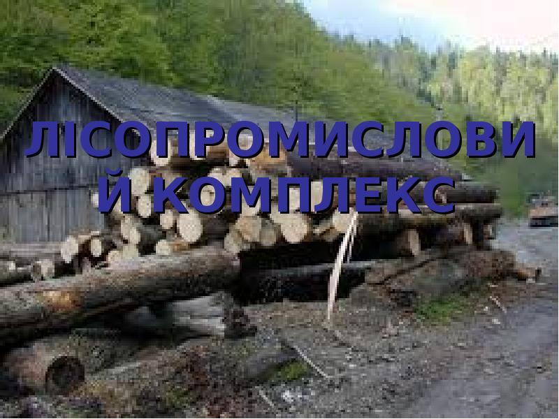 Реферат: Лісопромисловий комплекс України