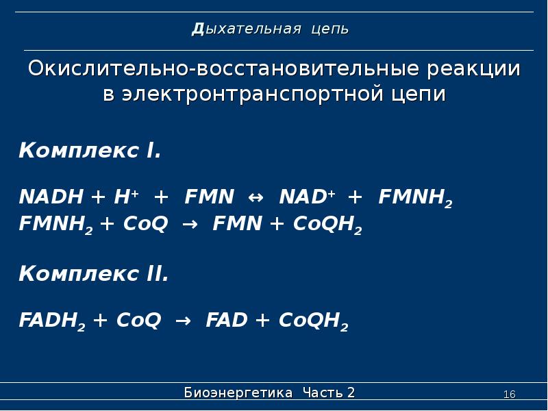 Дыхательная цепь. Реакции дыхательной цепи. Дыхательная цепь биохимия реакции. Длинная дыхательная цепь биохимия. Суммарная реакция дыхательной цепи.