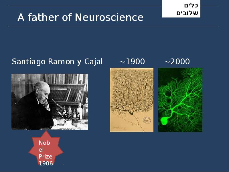 A father of Neuroscience
Santiago Ramon y Cajal A father of Neuroscience
Santiago Ramon y Cajal