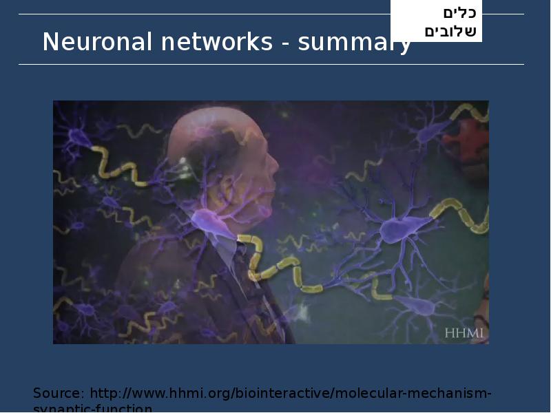 Neuronal networks - summary Neuronal networks - summary