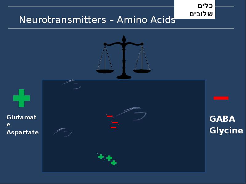 Neurotransmitters – Amino Acids Neurotransmitters – Amino Acids