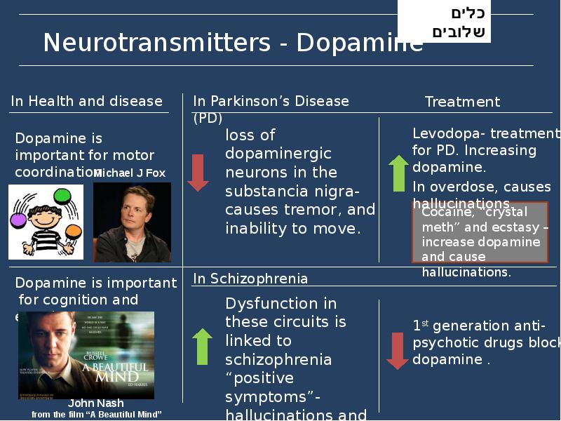 Neurotransmitters - Dopamine Neurotransmitters - Dopamine