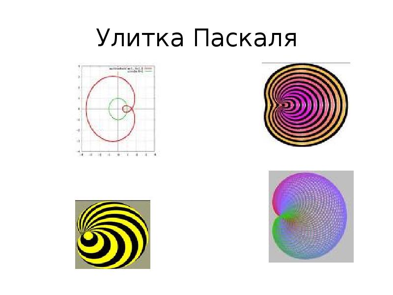 Проект по математике улитка паскаля