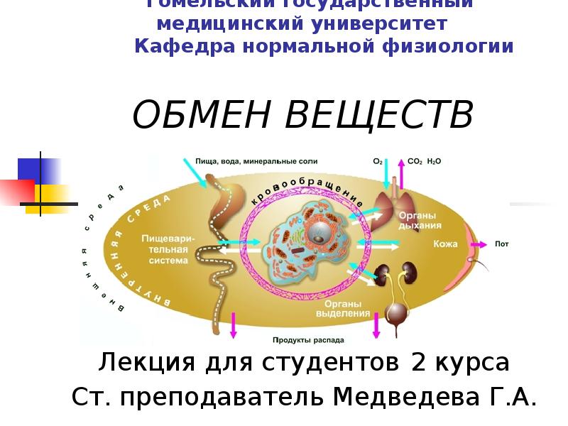 Обмен реферат