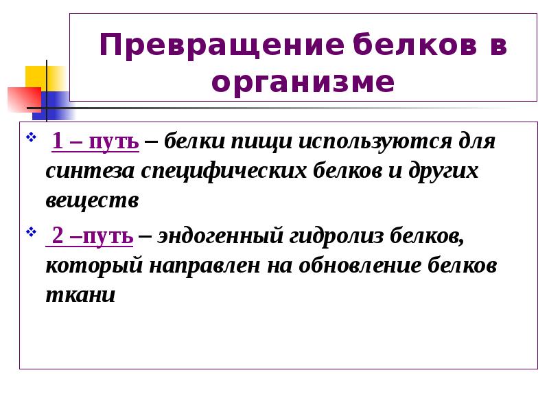 Путь белков. Превращение белков пищи в организме. Белки превращение в организме. Преобразование белков в организме. Превращение веществ в организме белки.