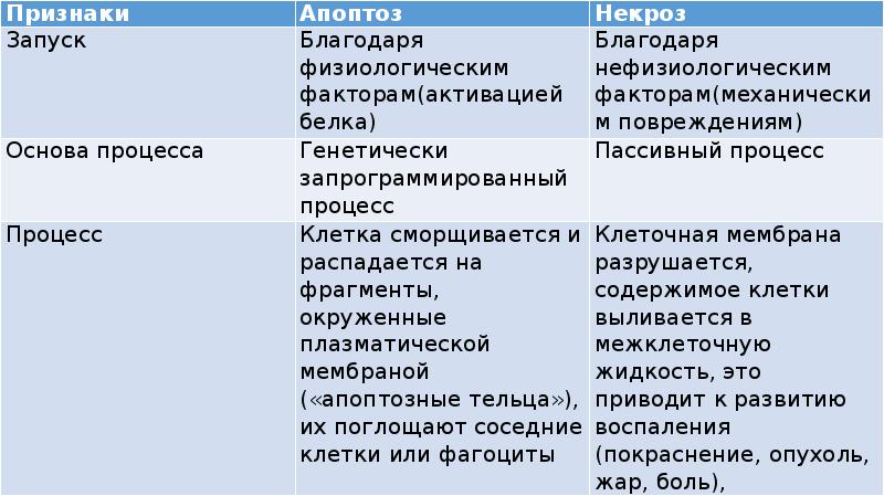 Отличие некроза от апоптоза. Сравнительная характеристика апоптоза и некроза таблица. Апоптоз и некроз. Некроз и апоптоз различия. Сравнительная характеристика некроза и апоптоза.