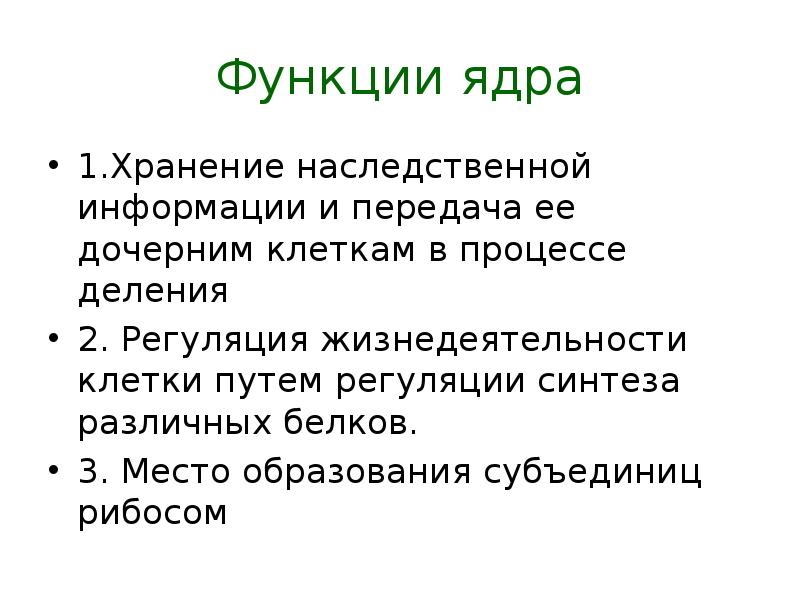 Функции ядра клетки