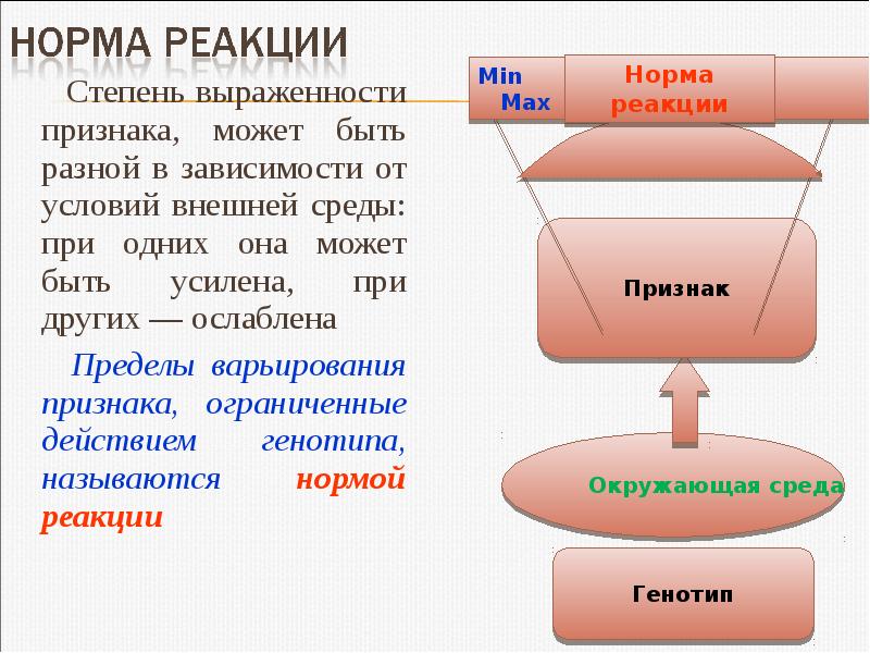 Нормы реакции бывают