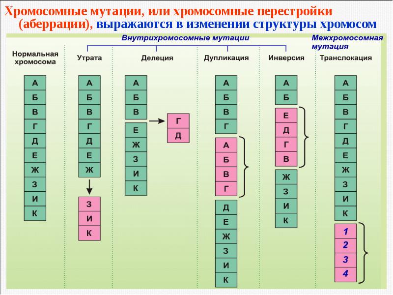 Хромосомные мутации примеры. Хромосомные мутации внутрихромосомные. Хромосомные мутации дефишенси. Хромосомные мутации (хромосомные перестройки). Структурные хромосомные перестройки.