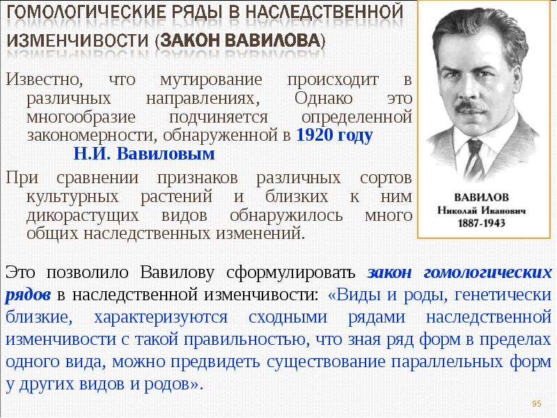 Благодаря закону. Закон Вавилова о гомологических рядах наследственной изменчивости. Закон гомологических рядов наследственной изменчивости н.и Вавилова. Вавилов н и закон гомологических рядов наследственной. Н И Вавилов сформулировал закон.