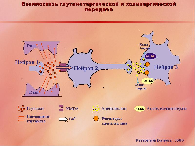 Этиология и патогенез болезни альцгеймера презентация